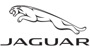 Jaguar-Logo-low