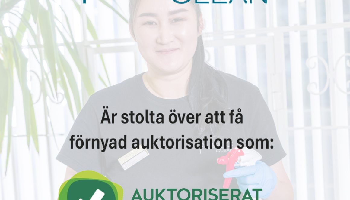 Auktoriasation Instagram-FB